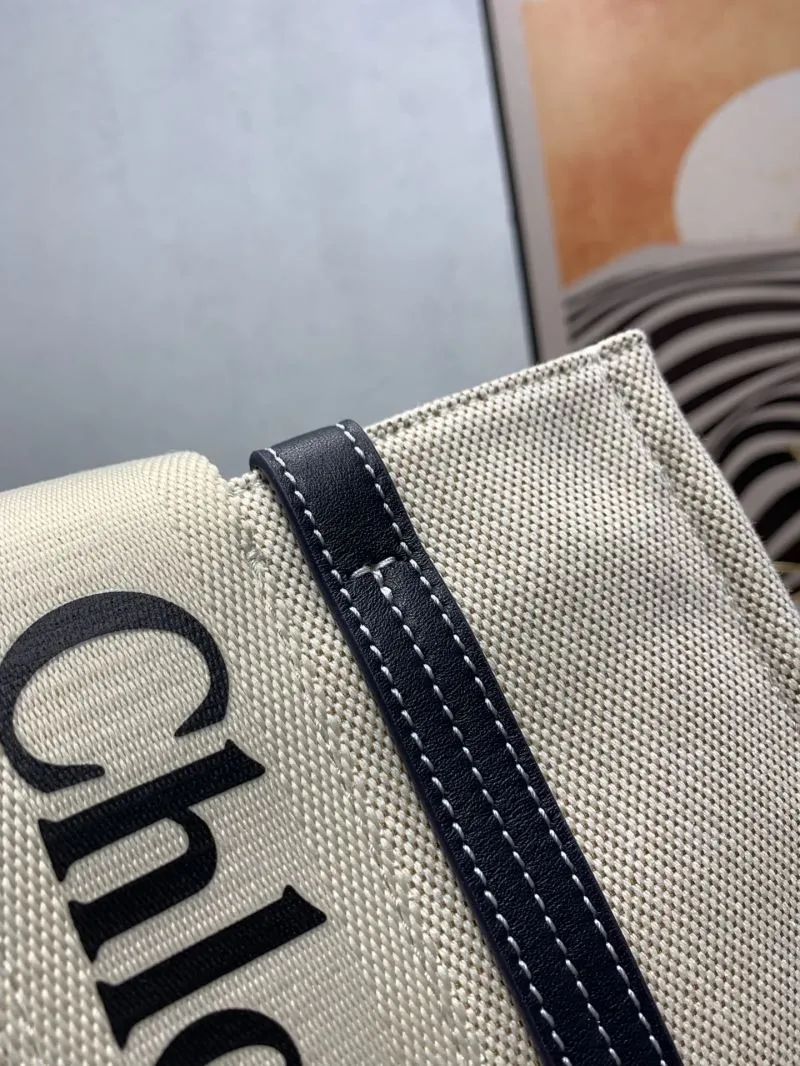 Chloe Shopping Bags-20 - Image 5