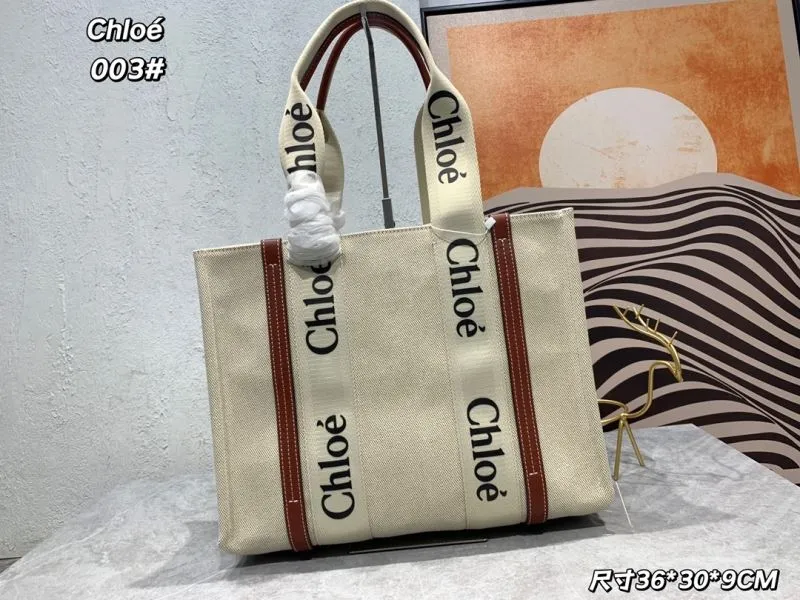 Chloe Shopping Bags-21