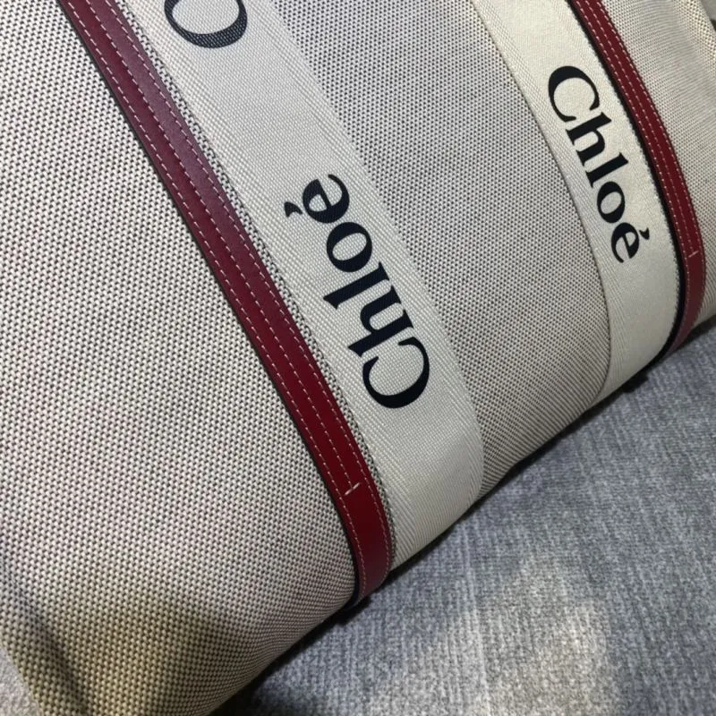 Chloe Shopping Bags-33 - Image 4