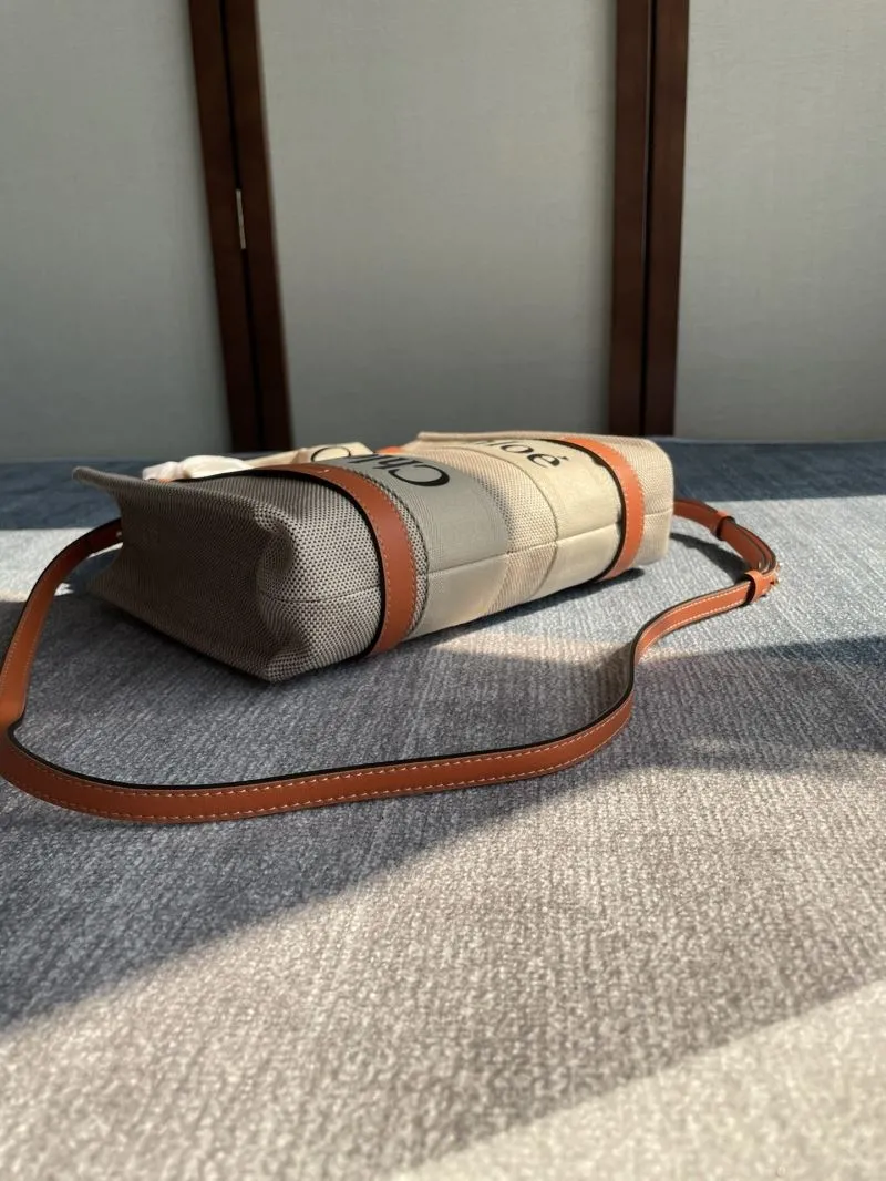 Chloe Shopping Bags-39 - Image 4