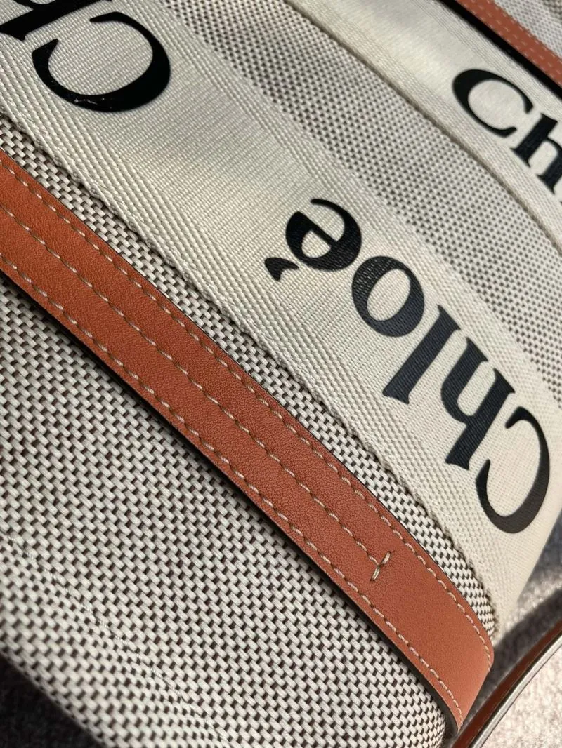 Chloe Shopping Bags-39 - Image 5