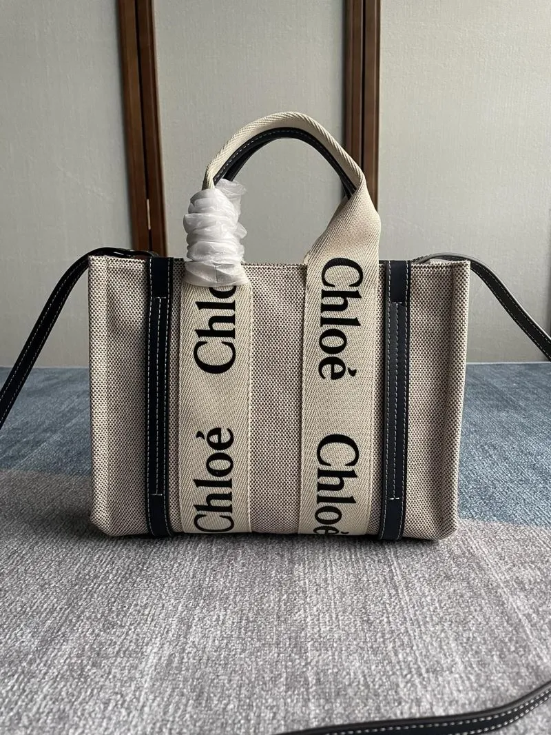 Chloe Shopping Bags-41