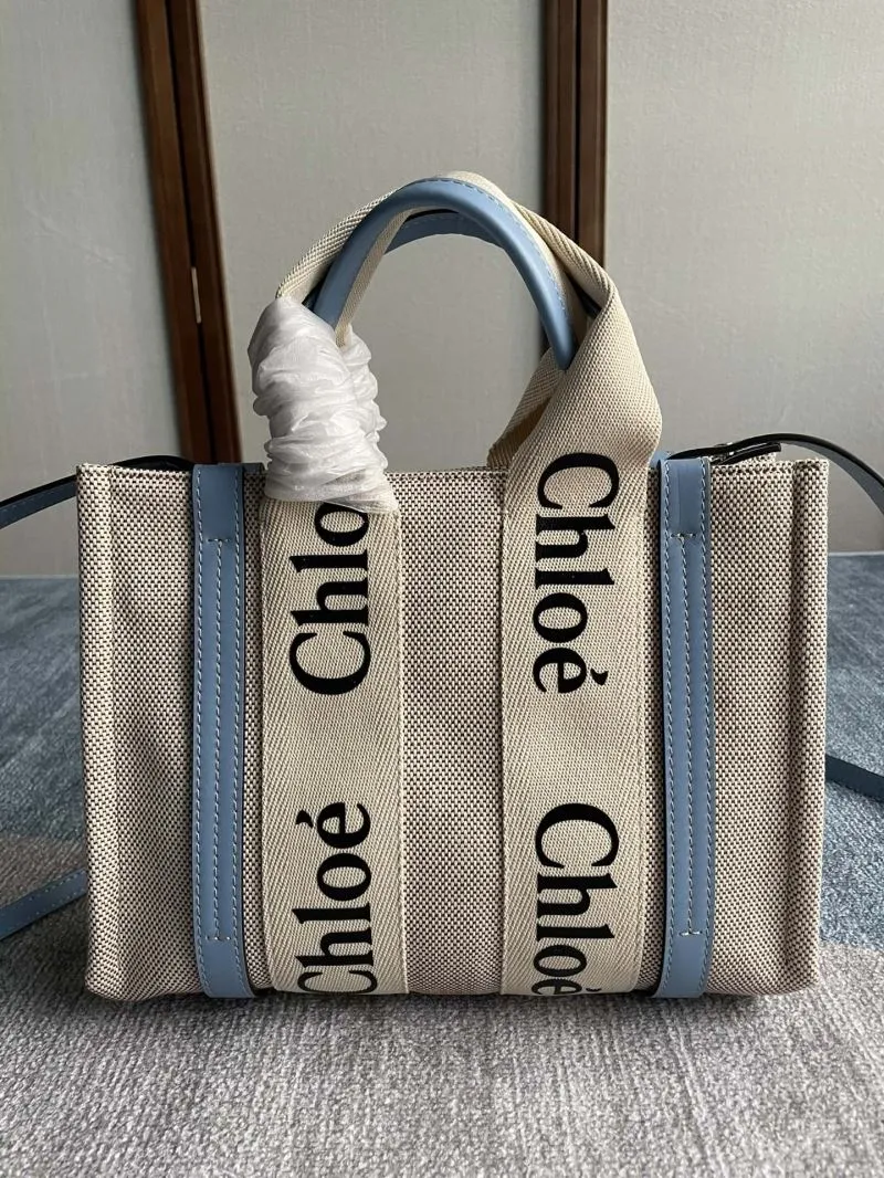 Chloe Shopping Bags-44