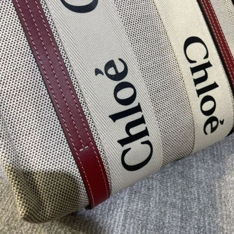 Chloe Shopping Bags-45 - Image 4