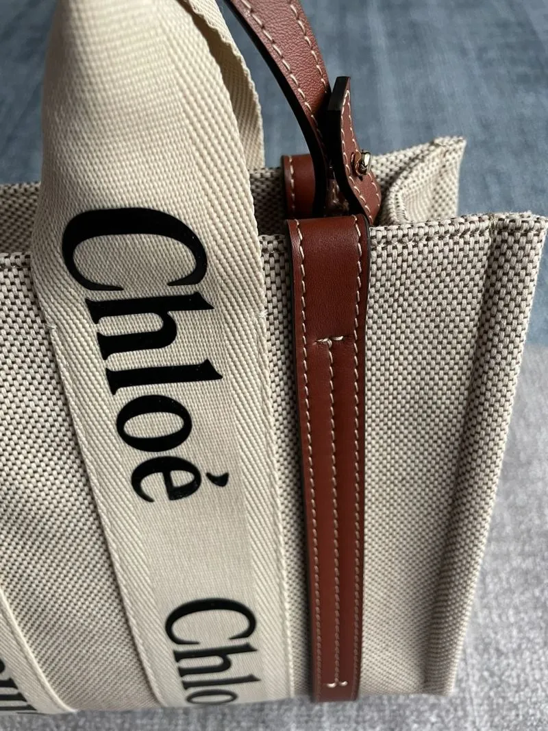 Chloe Shopping Bags-46 - Image 5