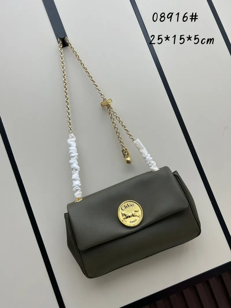 Chloe Satchel Bags-3