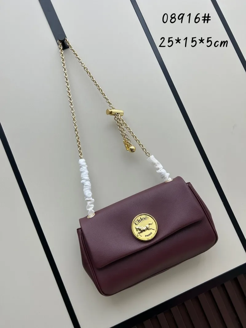 Chloe Satchel Bags-4