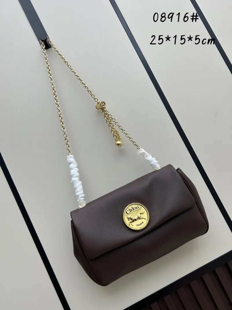 Chloe Satchel Bags-7