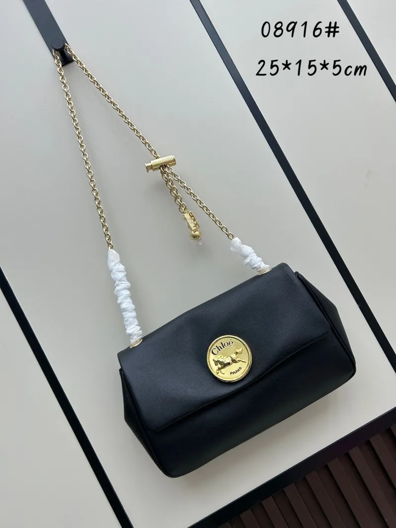 Chloe Satchel Bags-8