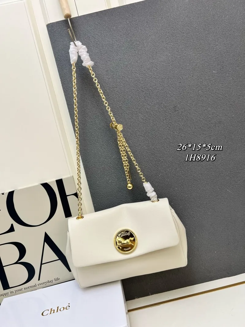 Chloe Satchel Bags-9
