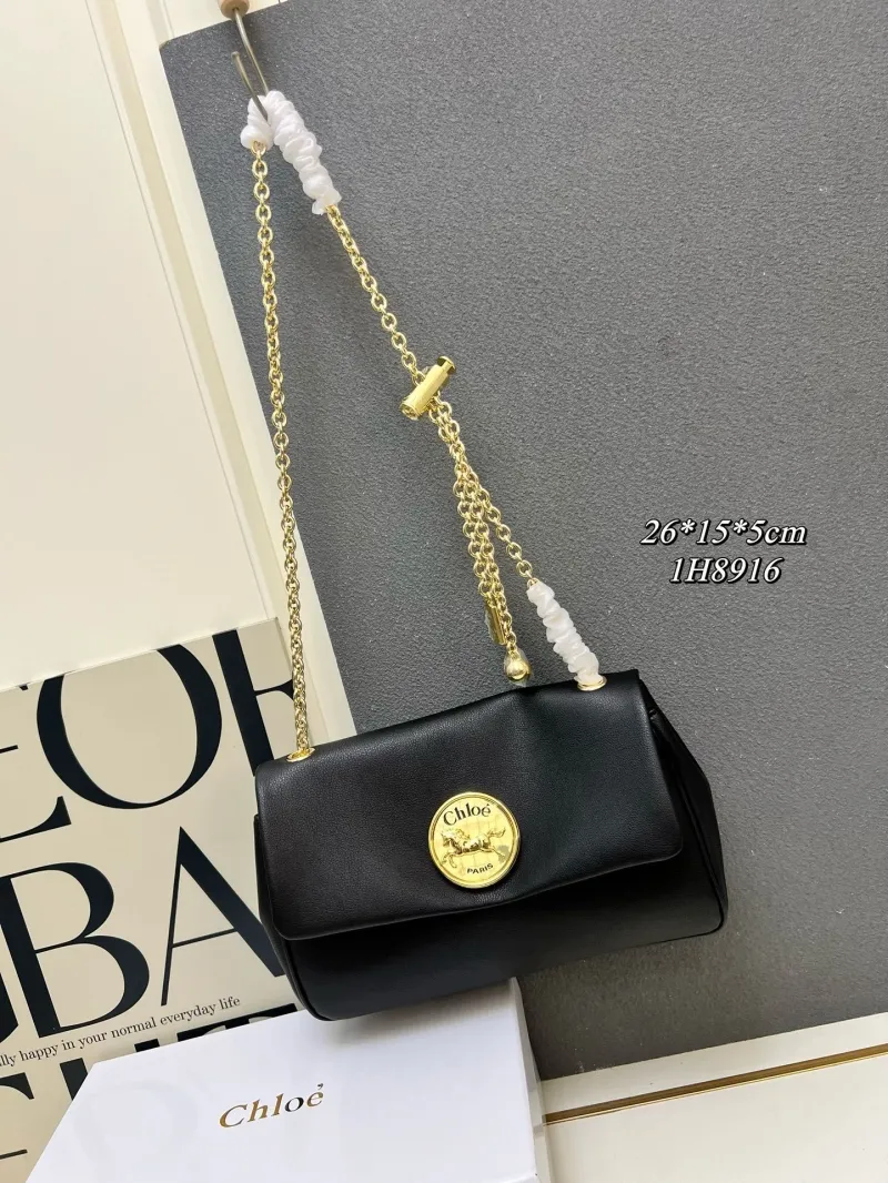 Chloe Satchel Bags-10