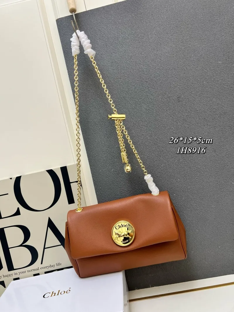 Chloe Satchel Bags-11