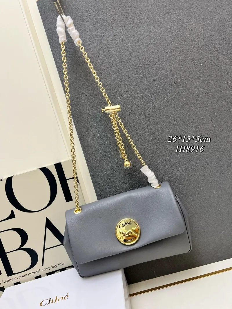 Chloe Satchel Bags-12