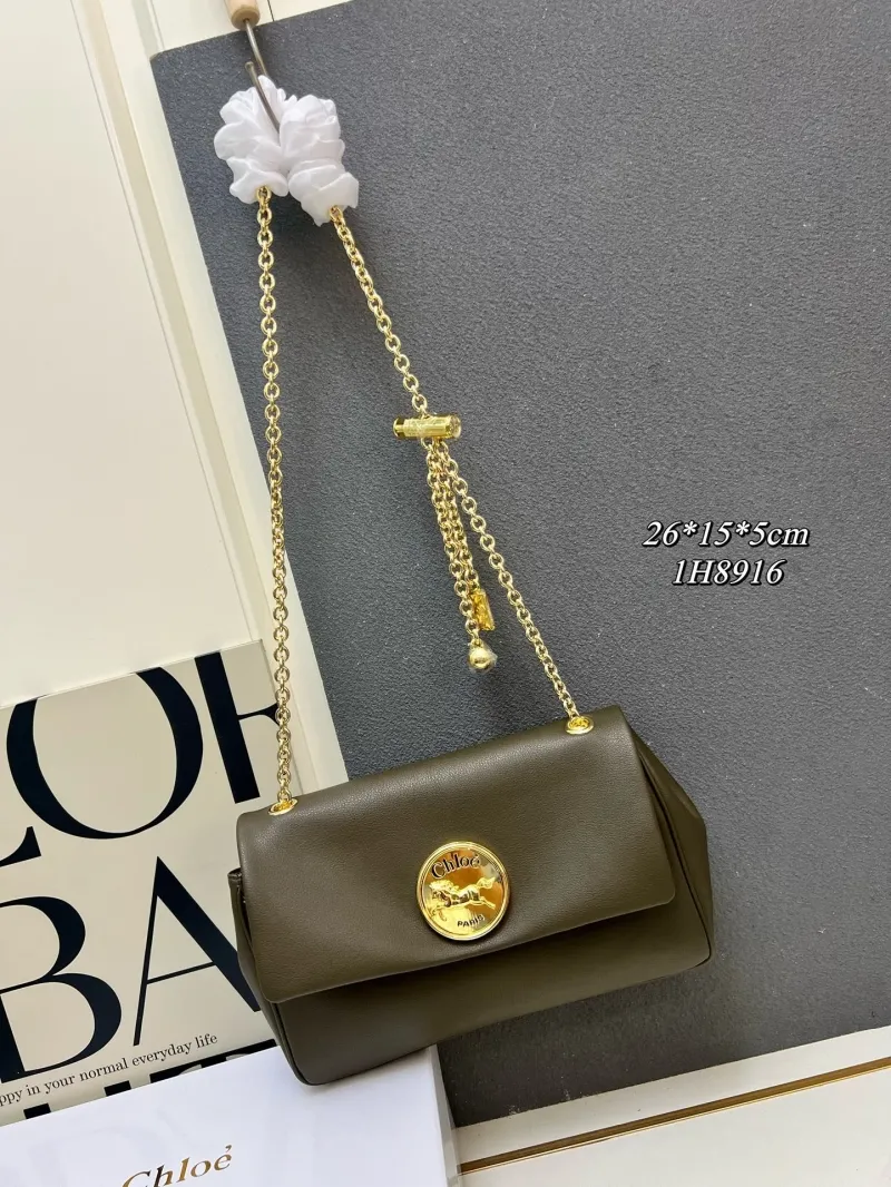 Chloe Satchel Bags-13