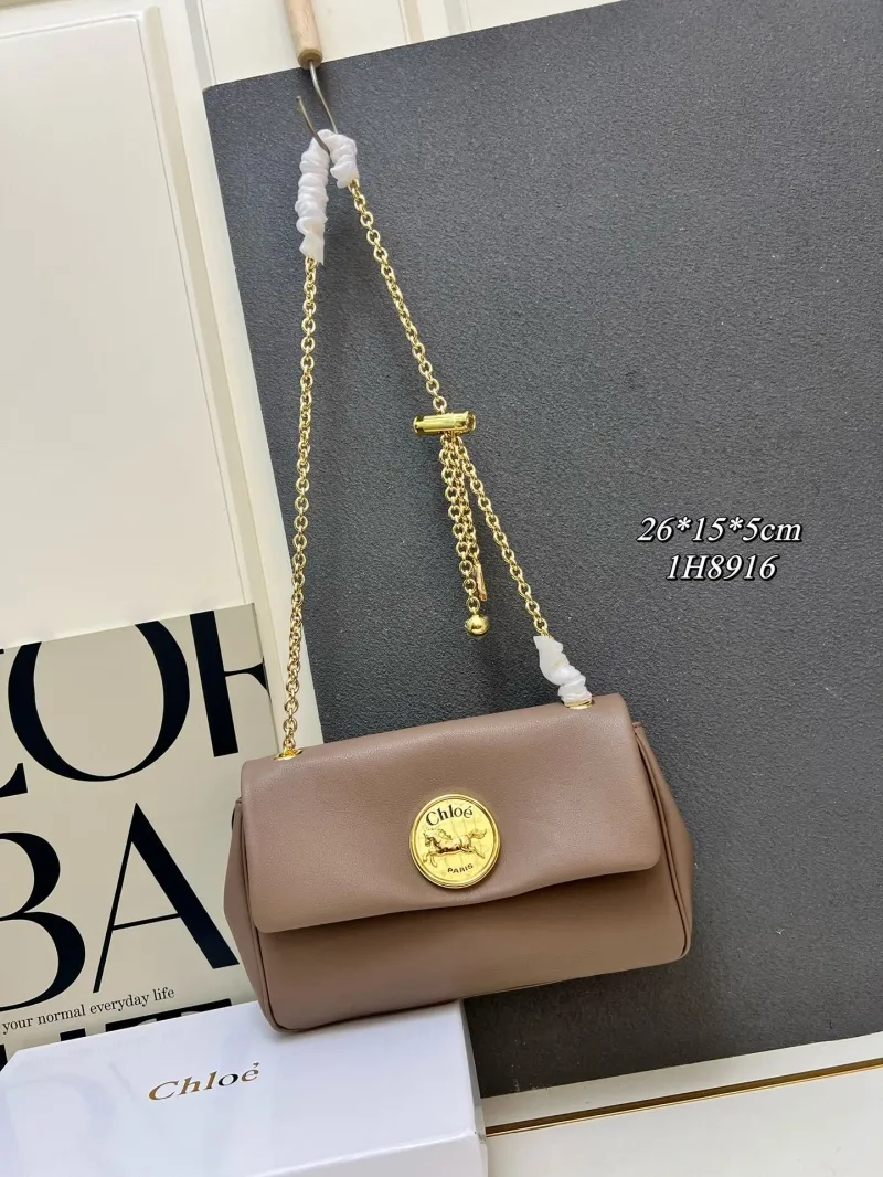 Chloe Satchel Bags-14