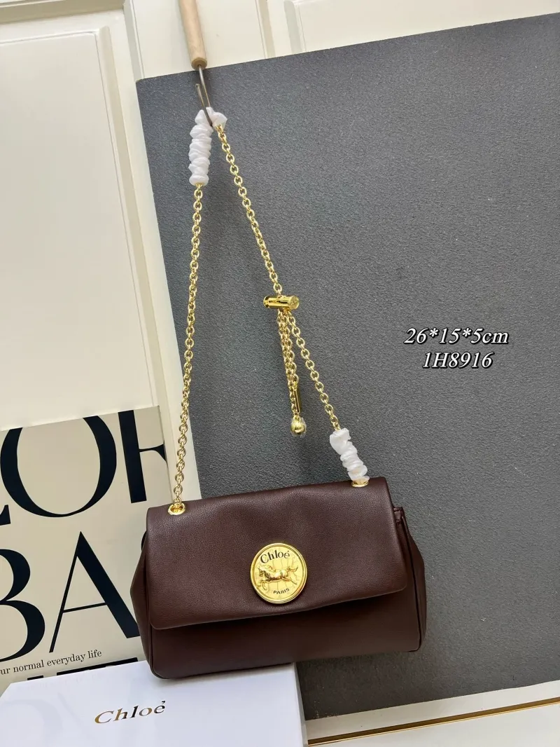 Chloe Satchel Bags-15