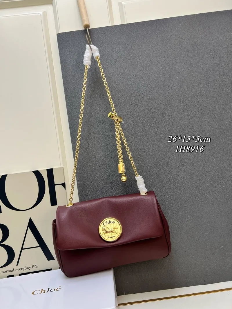 Chloe Satchel Bags-16