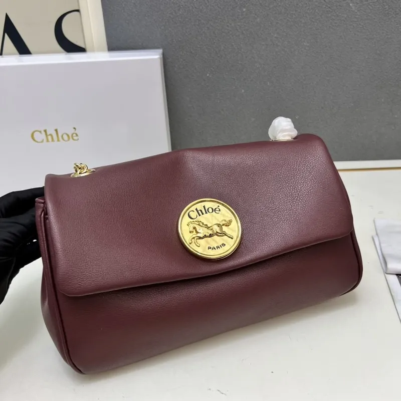Chloe Satchel Bags-16 - Image 5