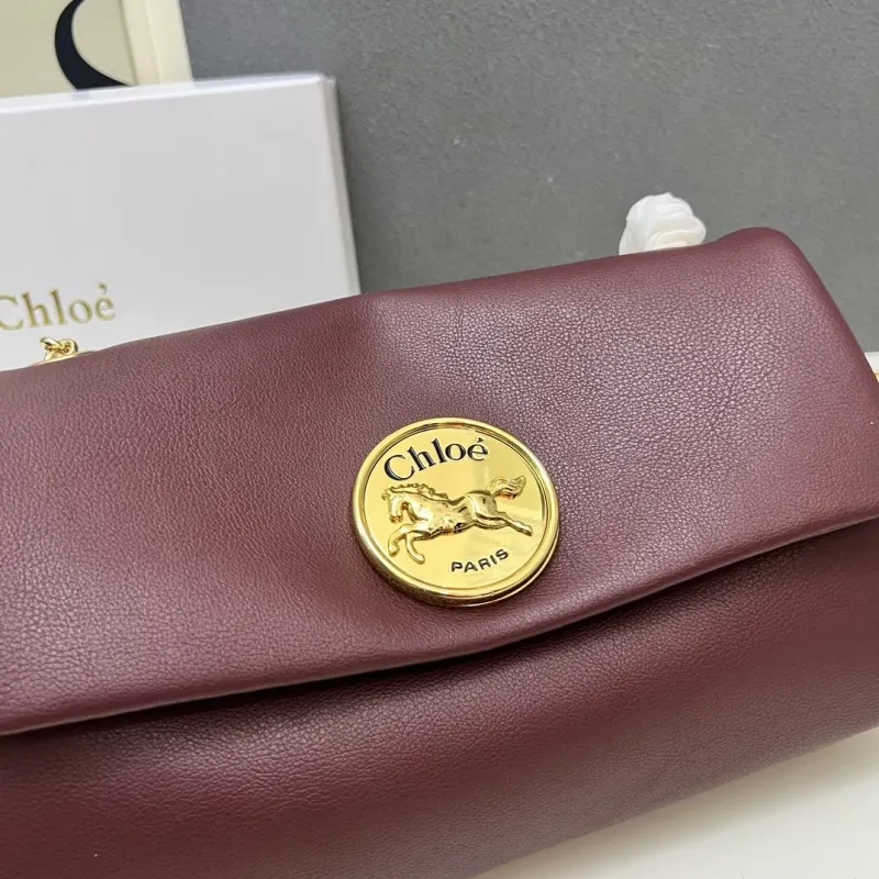 Chloe Satchel Bags-16 - Image 6