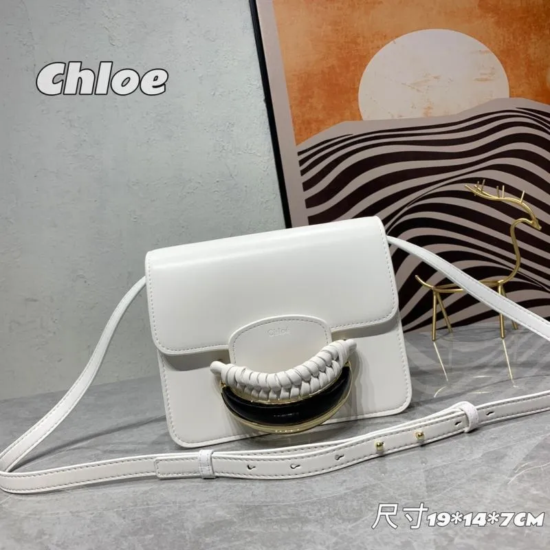 Chloe Satchel Bags-17