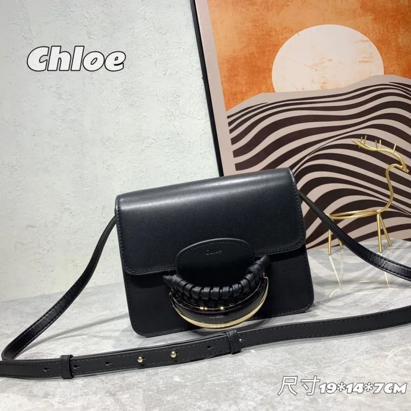 Chloe Satchel Bags-18