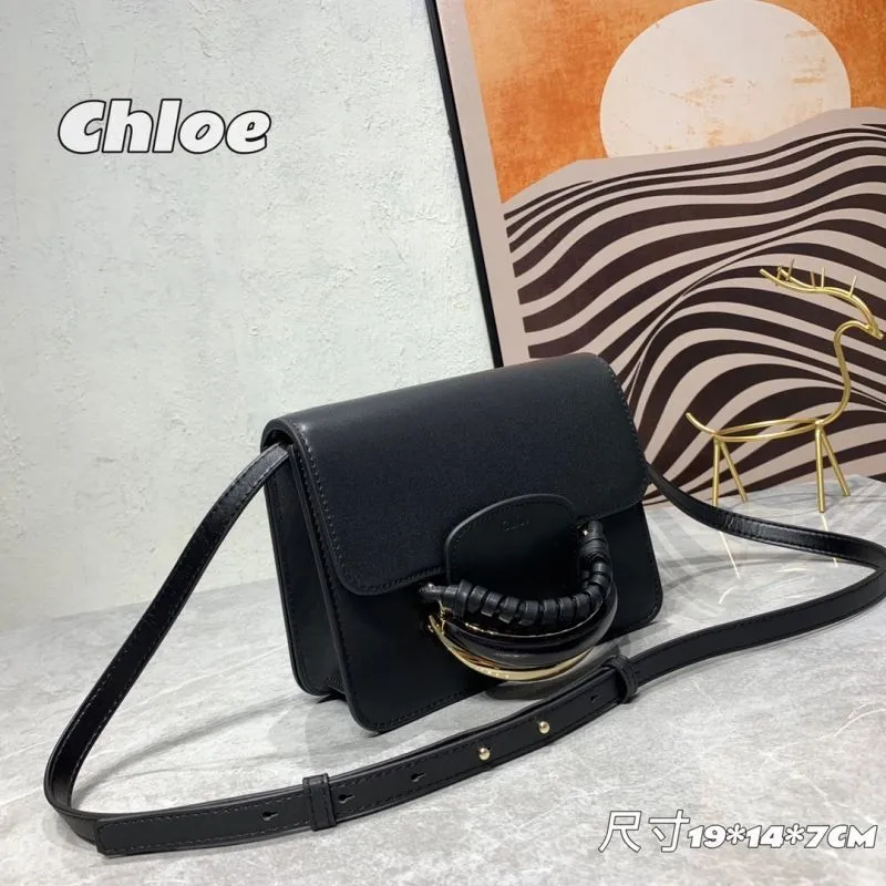 Alternative view of Chloe Satchel Bags-18