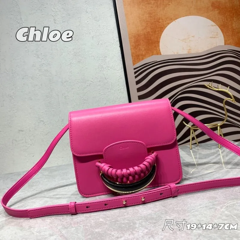 Chloe Satchel Bags-19