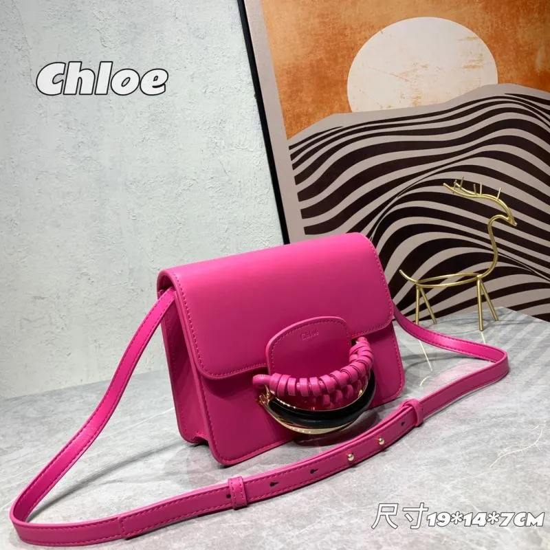 Alternative view of Chloe Satchel Bags-19