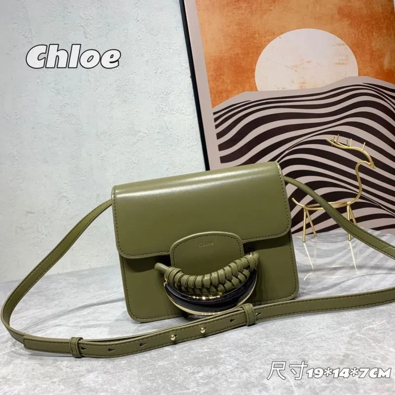Chloe Satchel Bags-20