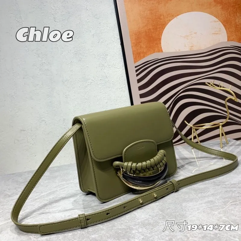 Alternative view of Chloe Satchel Bags-20