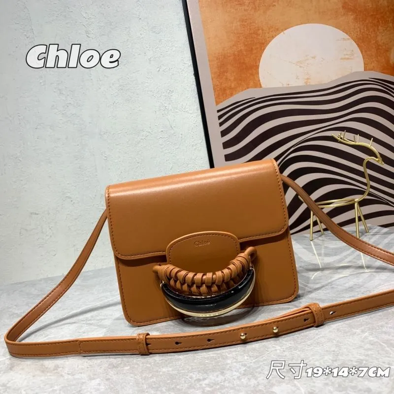 Chloe Satchel Bags-21