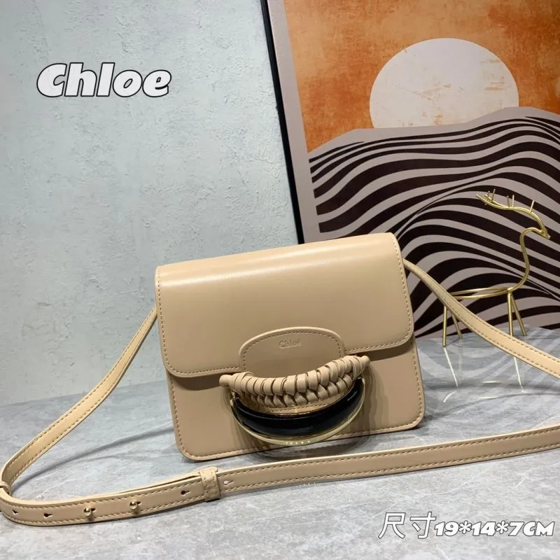 Chloe Satchel Bags-22