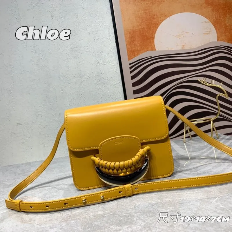 Chloe Satchel Bags-23