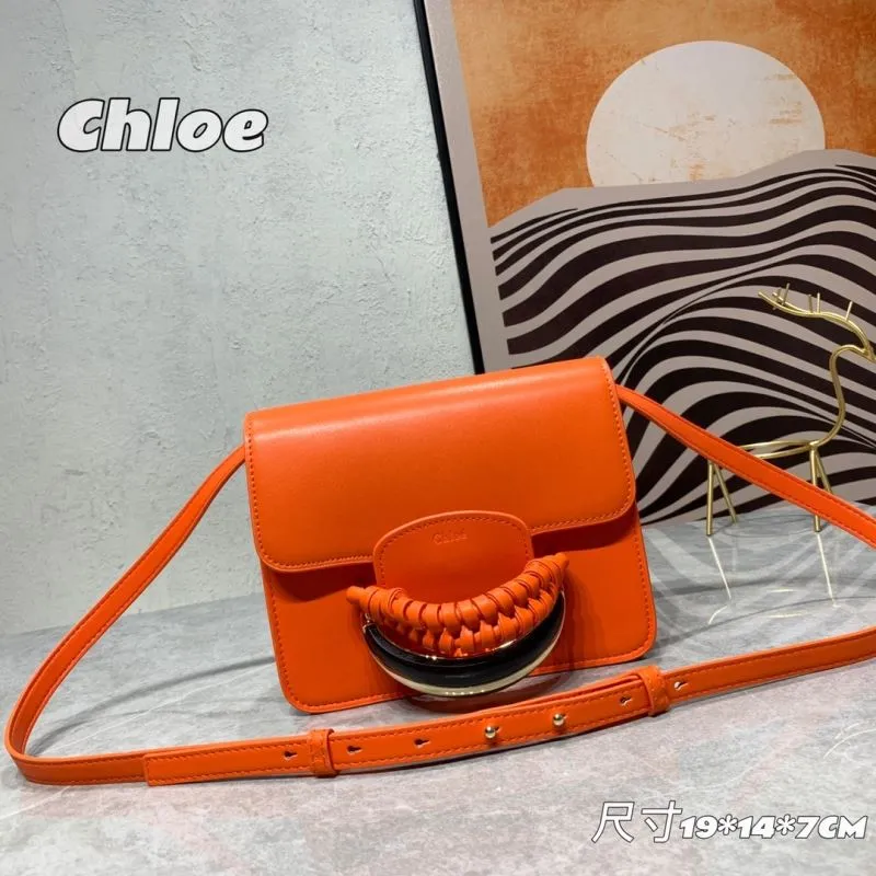 Chloe Satchel Bags-24