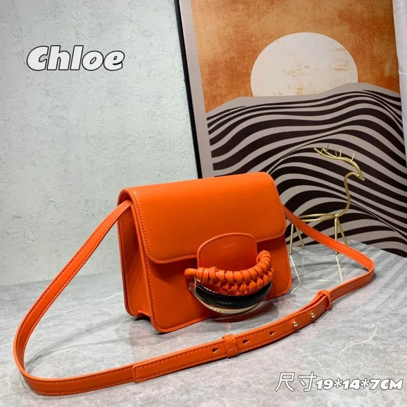 Alternative view of Chloe Satchel Bags-24